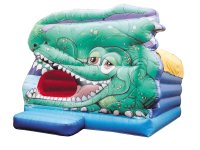 CCBOX12 - 3D Box Type Croc