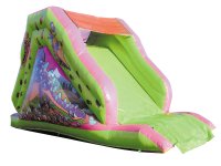 CSLI1 - Mini Dragon Slide